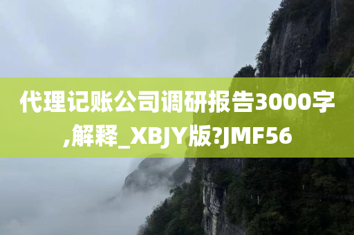 代理记账公司调研报告3000字,解释_XBJY版?JMF56