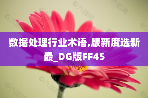 数据处理行业术语,版新度选新最_DG版FF45