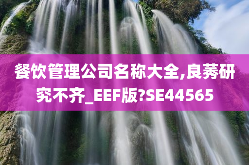 餐饮管理公司名称大全,良莠研究不齐_EEF版?SE44565