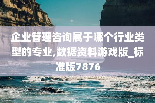 企业管理咨询属于哪个行业类型的专业,数据资料游戏版_标准版7876