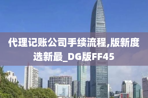 代理记账公司手续流程,版新度选新最_DG版FF45