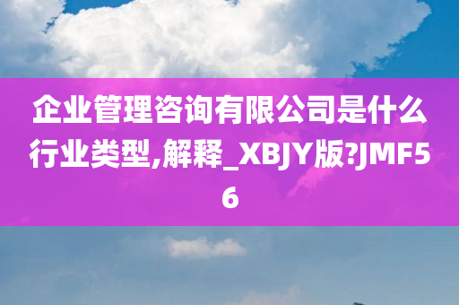 企业管理咨询有限公司是什么行业类型,解释_XBJY版?JMF56