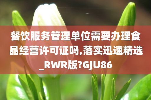 餐饮服务管理单位需要办理食品经营许可证吗,落实迅速精选_RWR版?GJU86