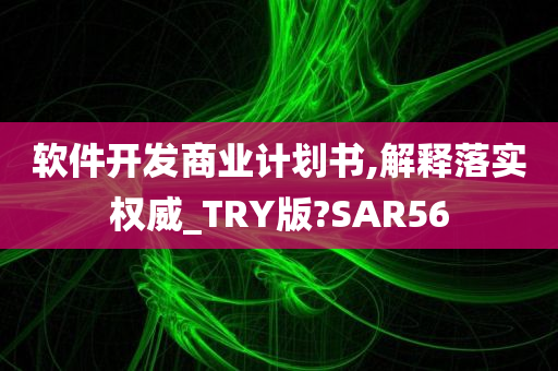 软件开发商业计划书,解释落实权威_TRY版?SAR56