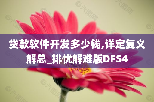 贷款软件开发多少钱,详定复义解总_排忧解难版DFS4