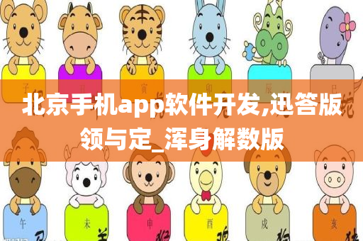 北京手机app软件开发,迅答版领与定_浑身解数版