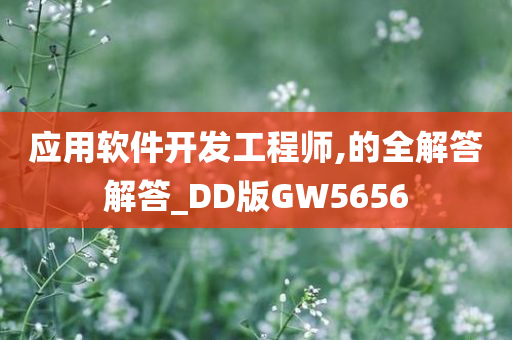 应用软件开发工程师,的全解答解答_DD版GW5656