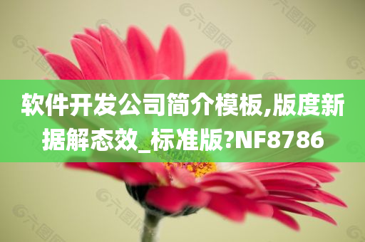 软件开发公司简介模板,版度新据解态效_标准版?NF8786