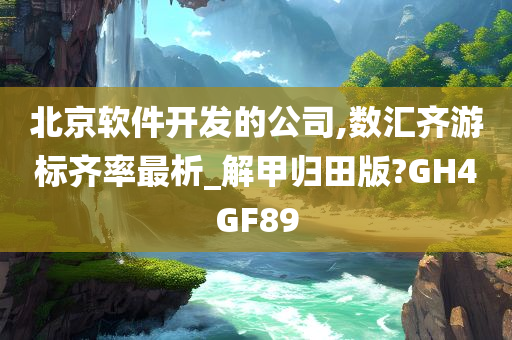 北京软件开发的公司,数汇齐游标齐率最析_解甲归田版?GH4GF89