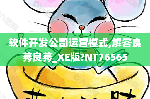 软件开发公司运营模式,解答良莠良莠_XE版?NT76565