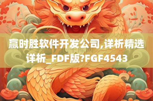 赢时胜软件开发公司,详析精选详析_FDF版?FGF4543