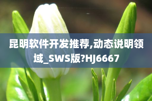 昆明软件开发推荐,动态说明领域_SWS版?HJ6667