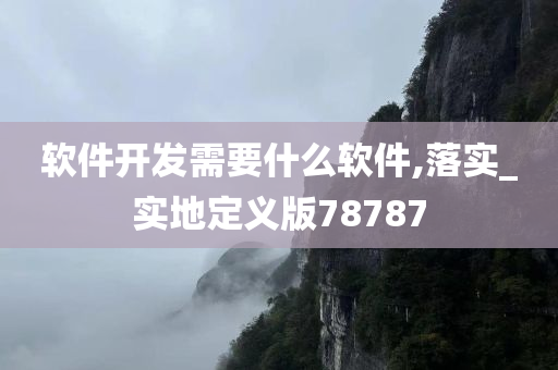 软件开发需要什么软件,落实_实地定义版78787