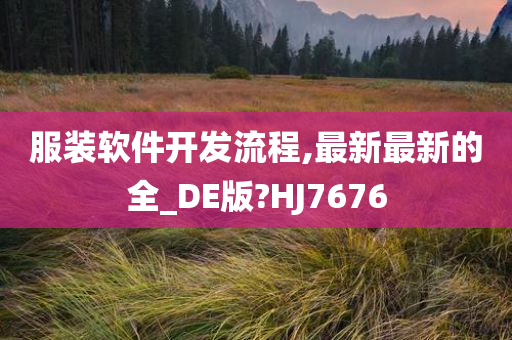 服装软件开发流程,最新最新的全_DE版?HJ7676