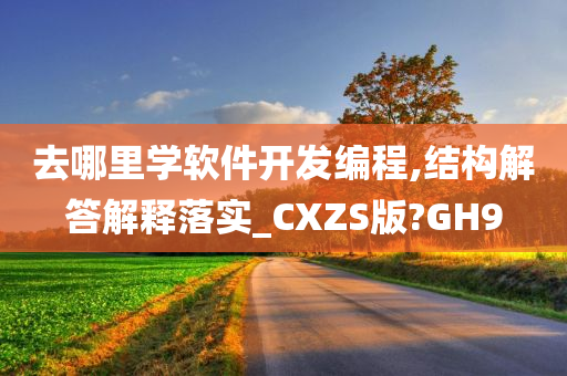 去哪里学软件开发编程,结构解答解释落实_CXZS版?GH9