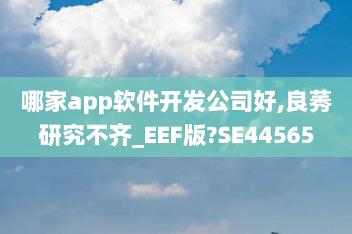 哪家app软件开发公司好,良莠研究不齐_EEF版?SE44565