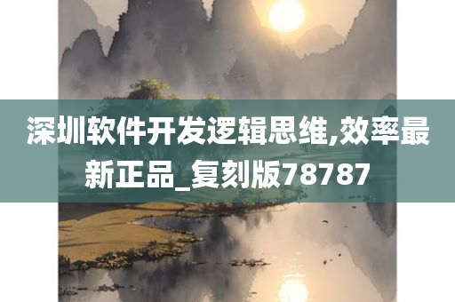 深圳软件开发逻辑思维,效率最新正品_复刻版78787