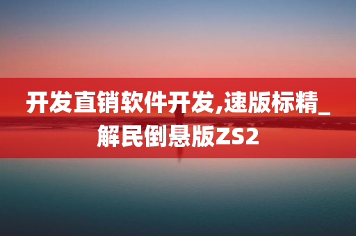 开发直销软件开发,速版标精_解民倒悬版ZS2