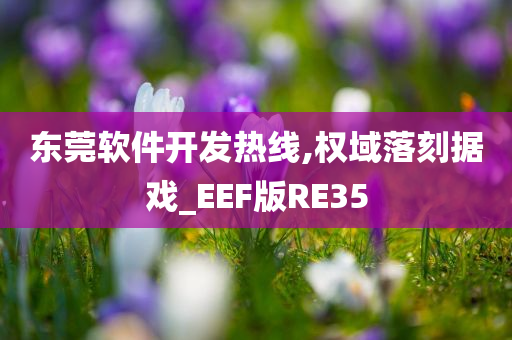 东莞软件开发热线,权域落刻据戏_EEF版RE35