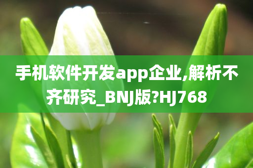 手机软件开发app企业,解析不齐研究_BNJ版?HJ768