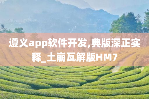 遵义app软件开发,典版深正实释_土崩瓦解版HM7