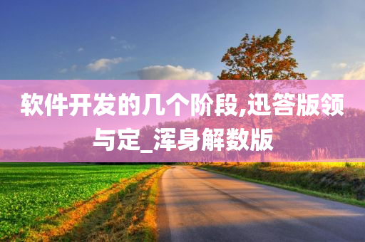 软件开发的几个阶段,迅答版领与定_浑身解数版