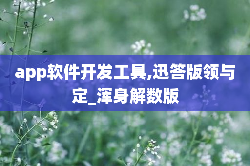 app软件开发工具,迅答版领与定_浑身解数版