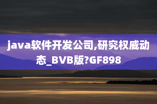 java软件开发公司,研究权威动态_BVB版?GF898