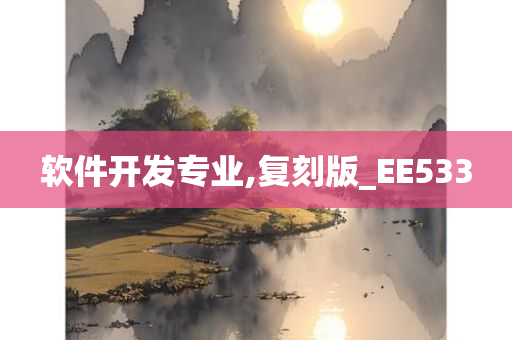 软件开发专业,复刻版_EE533