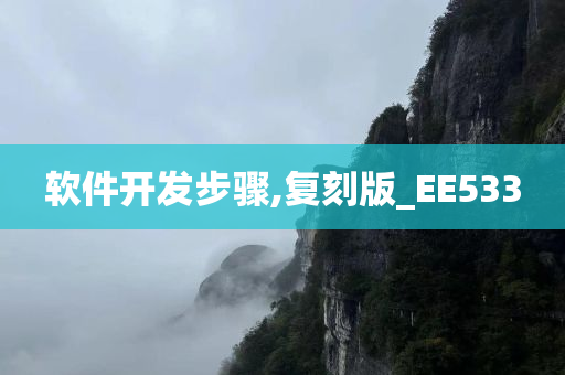 软件开发步骤,复刻版_EE533