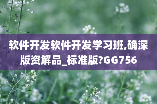 软件开发软件开发学习班,确深版资解品_标准版?GG756