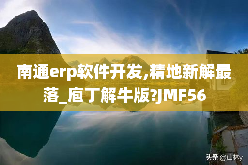 南通erp软件开发,精地新解最落_庖丁解牛版?JMF56