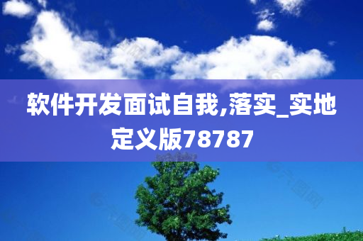 软件开发面试自我,落实_实地定义版78787