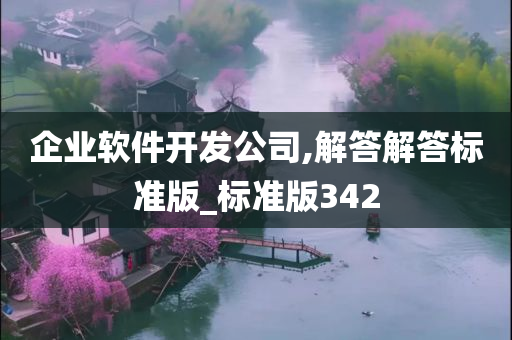 企业软件开发公司,解答解答标准版_标准版342