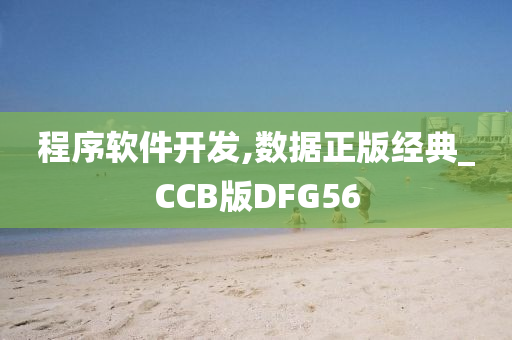 程序软件开发,数据正版经典_CCB版DFG56