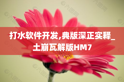 打水软件开发,典版深正实释_土崩瓦解版HM7