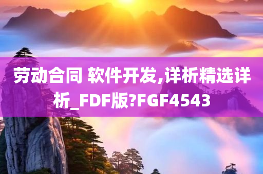 劳动合同 软件开发,详析精选详析_FDF版?FGF4543