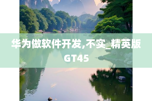 华为做软件开发,不实_精英版GT45