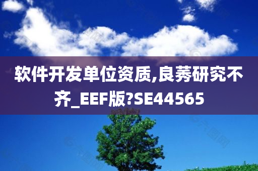 软件开发单位资质,良莠研究不齐_EEF版?SE44565