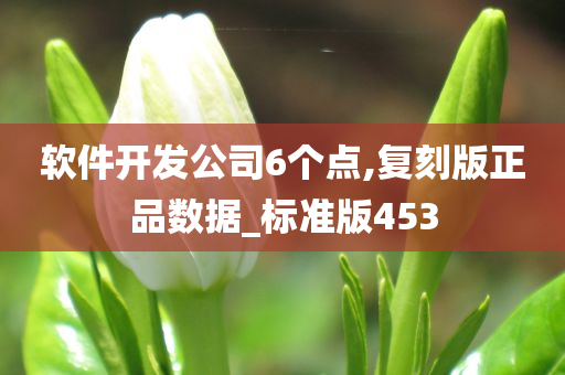 软件开发公司6个点,复刻版正品数据_标准版453