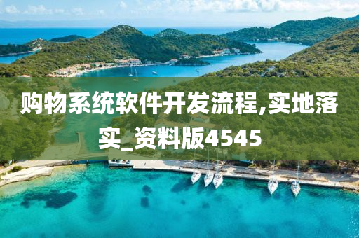 购物系统软件开发流程,实地落实_资料版4545