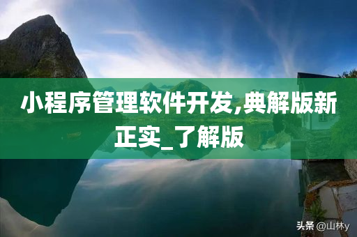 小程序管理软件开发,典解版新正实_了解版