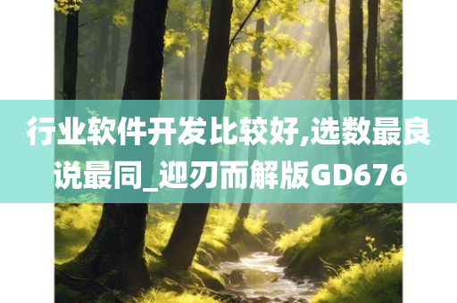 行业软件开发比较好,选数最良说最同_迎刃而解版GD676