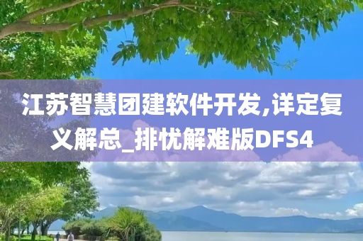 江苏智慧团建软件开发,详定复义解总_排忧解难版DFS4