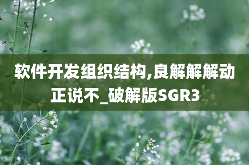 软件开发组织结构,良解解解动正说不_破解版SGR3