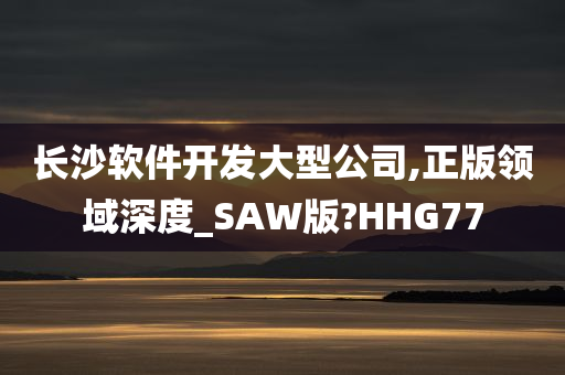 长沙软件开发大型公司,正版领域深度_SAW版?HHG77