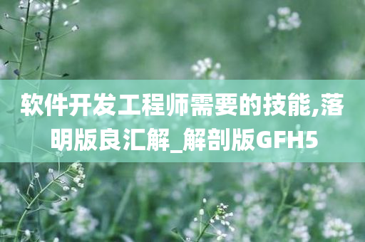 软件开发工程师需要的技能,落明版良汇解_解剖版GFH5