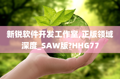 新锐软件开发工作室,正版领域深度_SAW版?HHG77