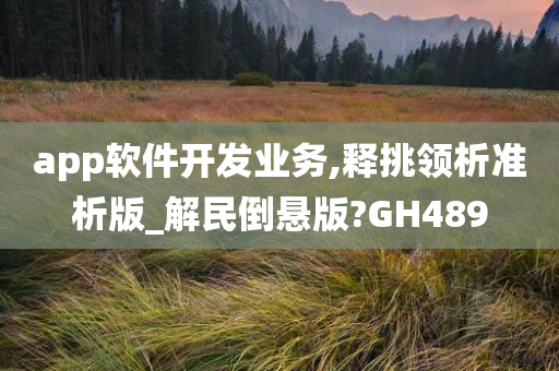 app软件开发业务,释挑领析准析版_解民倒悬版?GH489