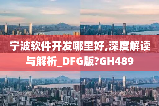 宁波软件开发哪里好,深度解读与解析_DFG版?GH489